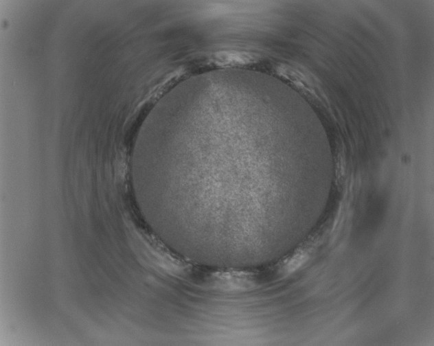 X0000065970367200603061155