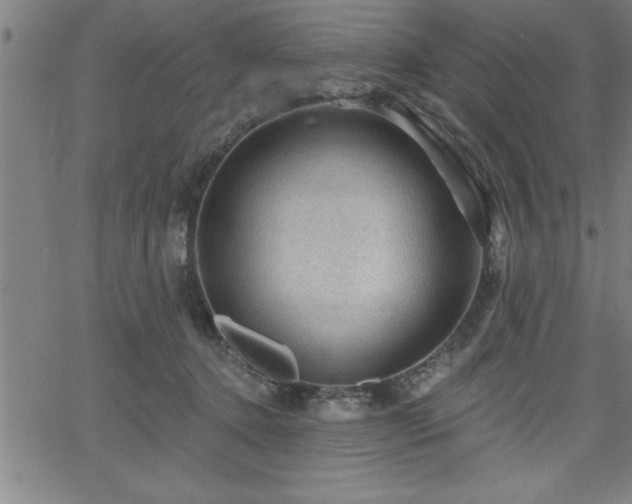 X0000065970368200603061155