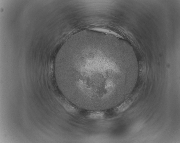 X0000065970369200603061155