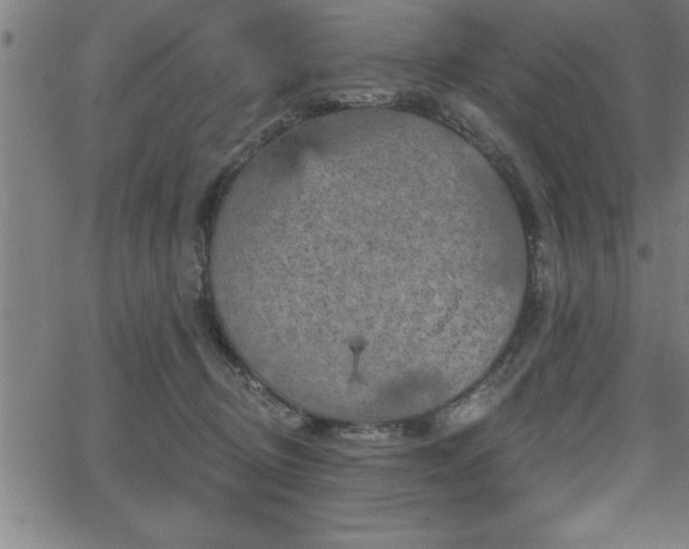 X0000065970370200603061155