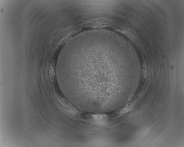 X0000065970371200603061155