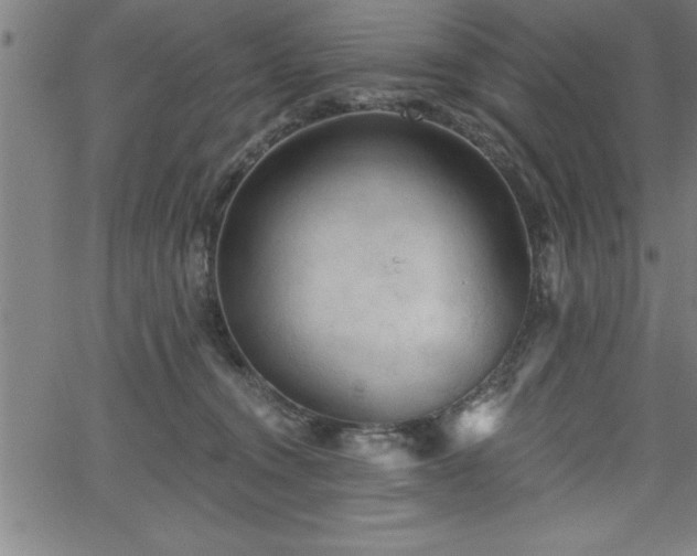 X0000065970372200603061155