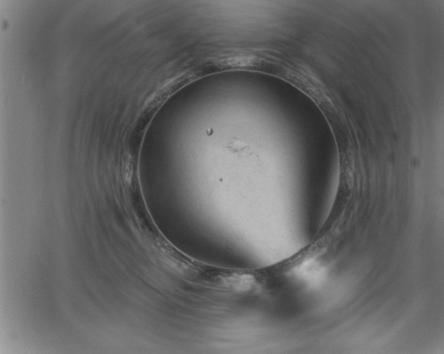 X0000065970374200603061155