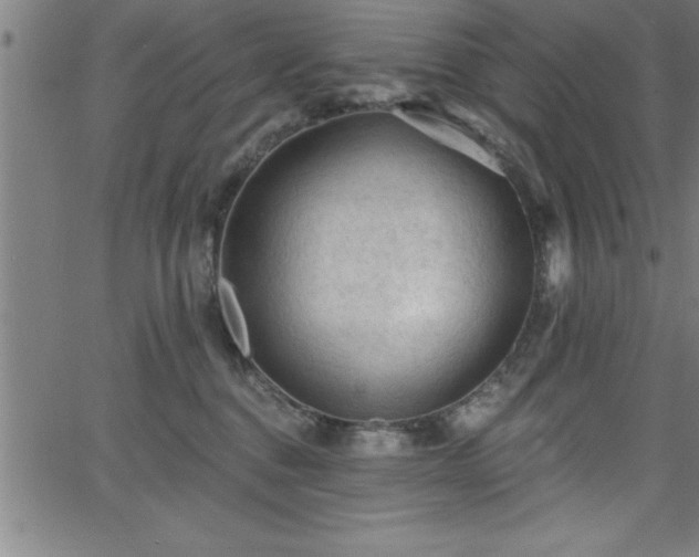 X0000065970376200603061155