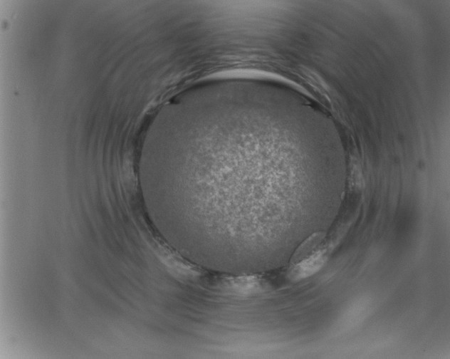 X0000065970377200603061155