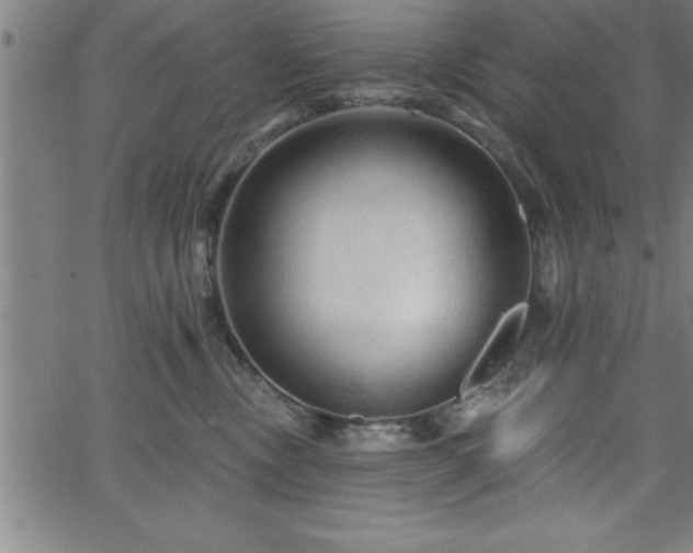 X0000065970378200603061155