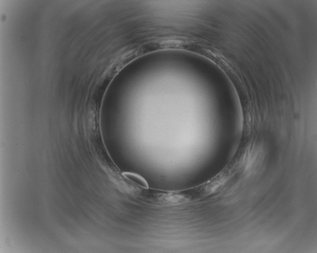 X0000065970379200603061155