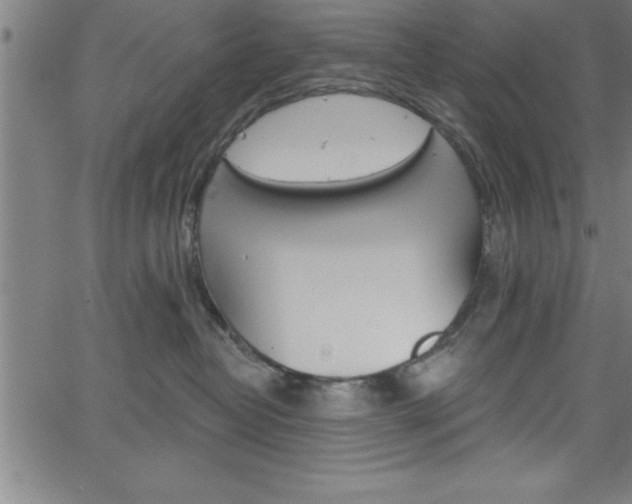 X0000065970382200603061155