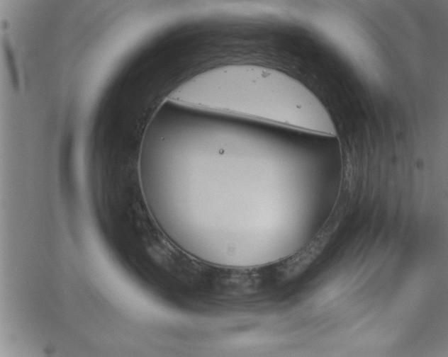 X0000065970383200603061155