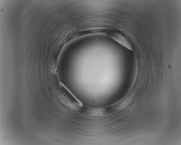 X0000065970384200603061155