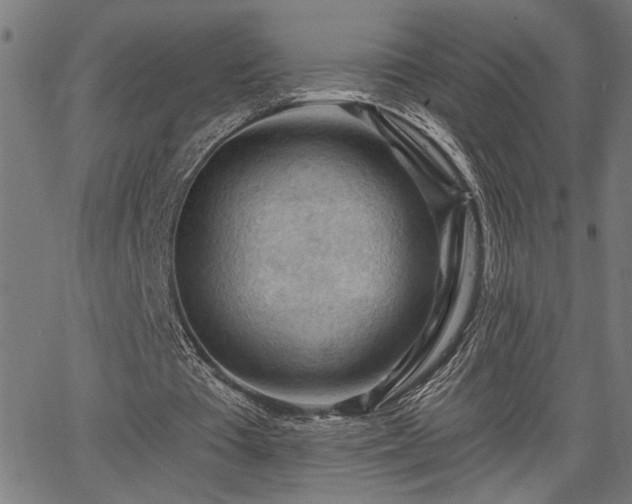 X0000065970385200603061155