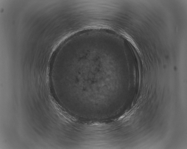 X0000065970387200603061155