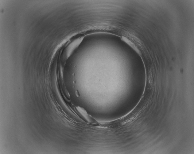 X0000065970388200603061155