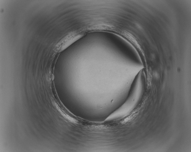 X0000065970389200603061155