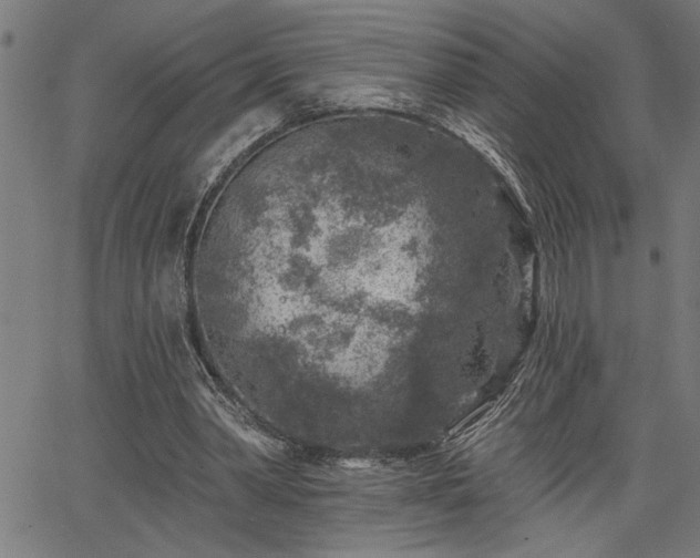 X0000065970390200603061155