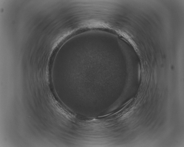 X0000065970391200603061155