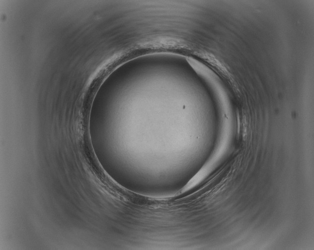 X0000065970392200603061155