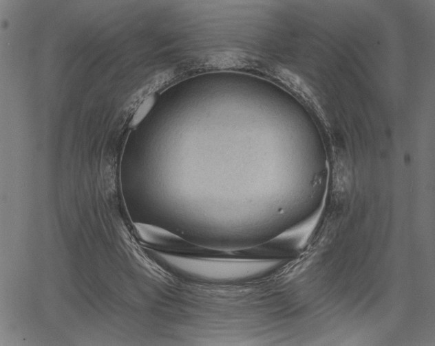 X0000065970393200603061154