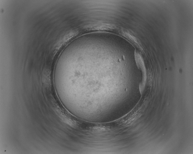 X0000065970394200603061154