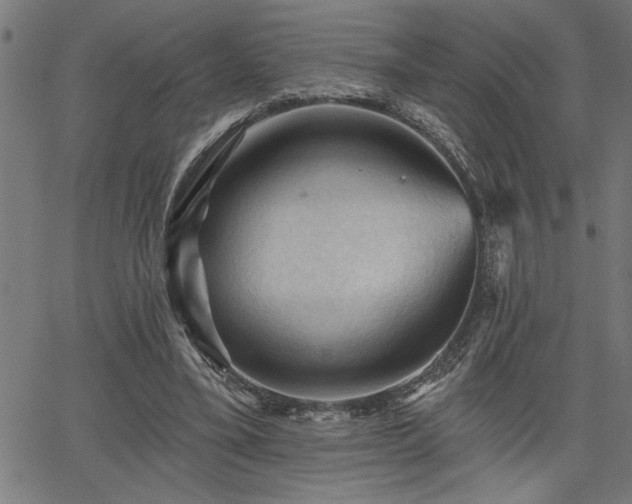 X0000065970395200603061154