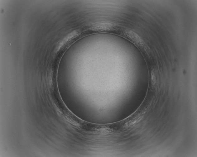 X0000065970396200603061154