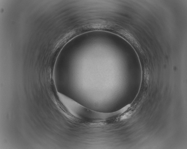 X0000065970397200603061154