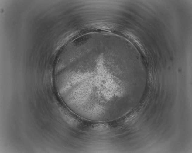 X0000065970398200603061154