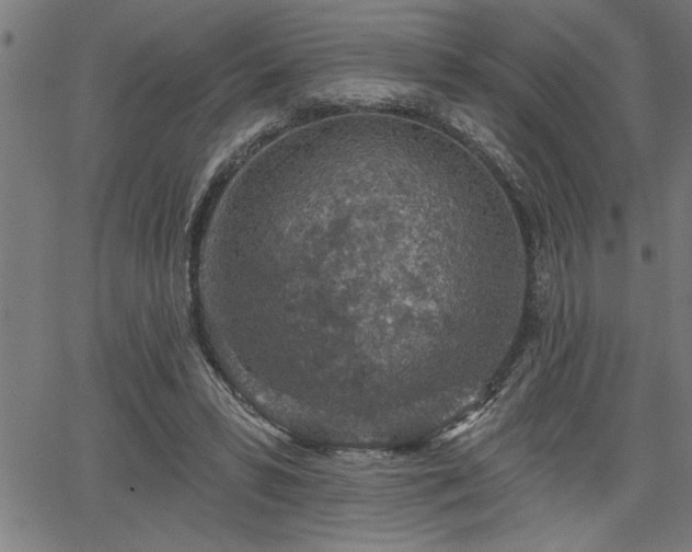 X0000065970399200603061154