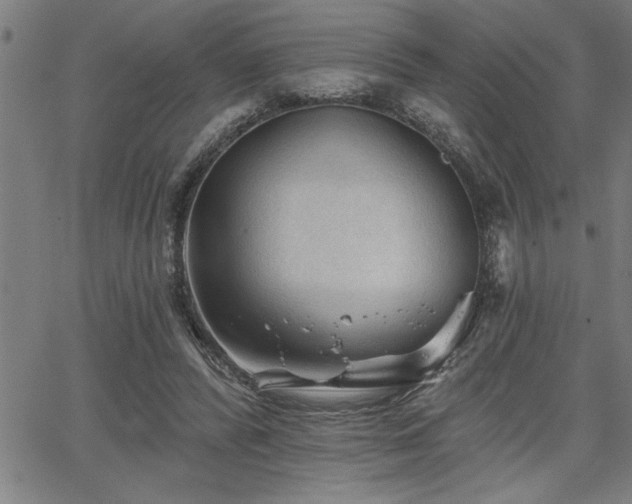 X0000065970400200603061154