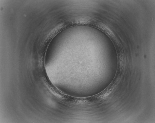 X0000065970401200603061154