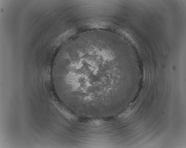 X0000065970402200603061154