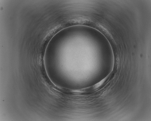 X0000065970403200603061154