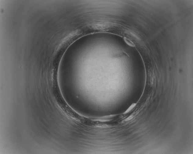 X0000065970404200603061154