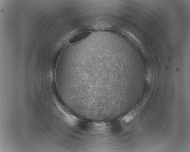 X0000065970405200603061154