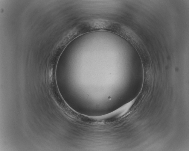 X0000065970406200603061154