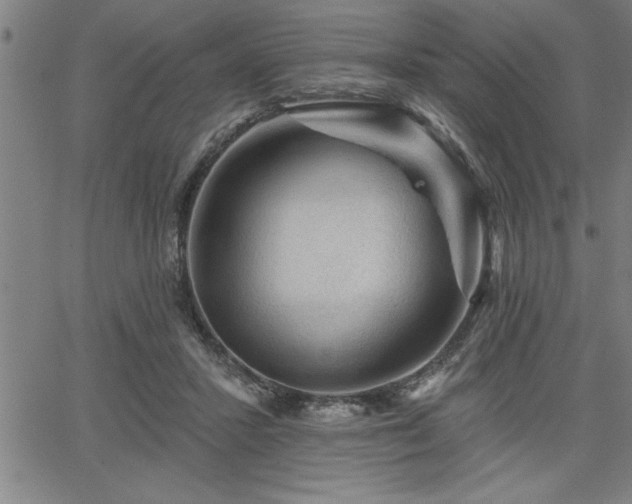 X0000065970407200603061154