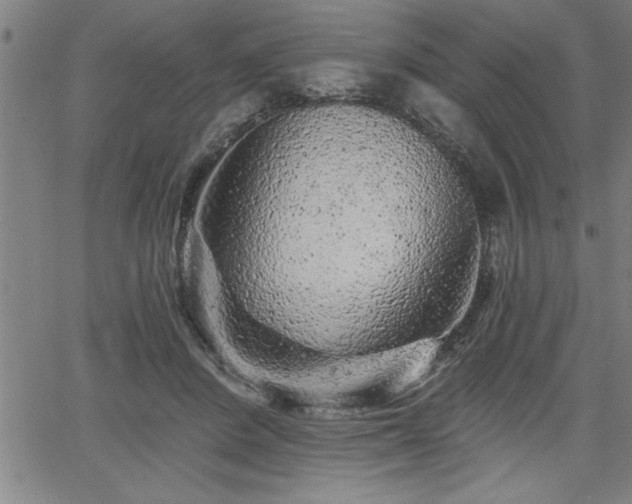 X0000065970408200603061154