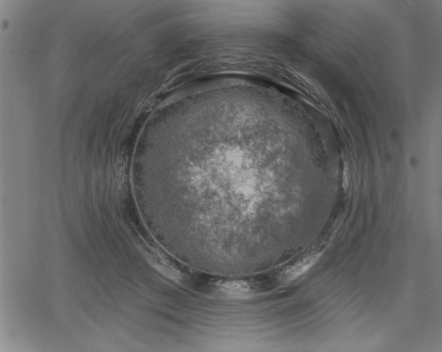 X0000065970409200603061154