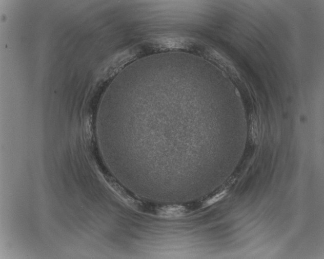 X0000065970410200603061154