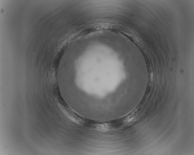 X0000065970411200603061154