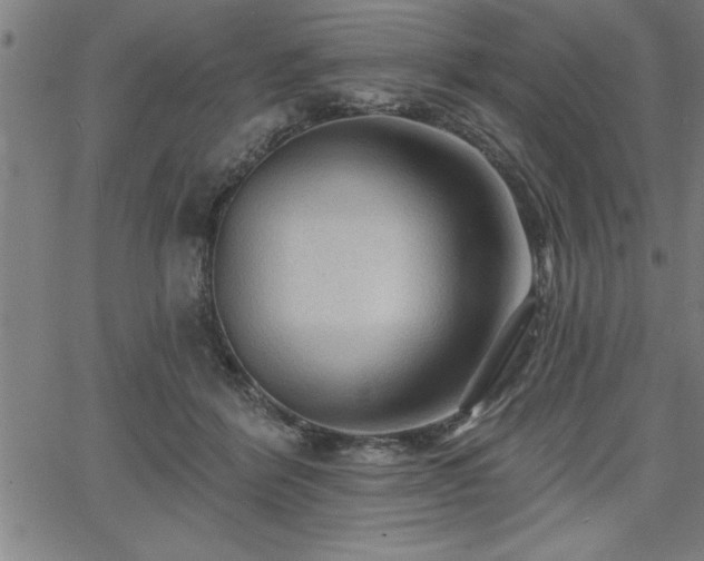 X0000065970412200603061154