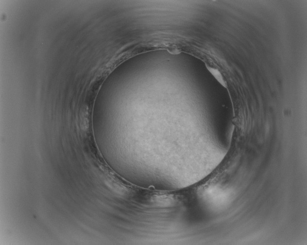 X0000065970413200603061154