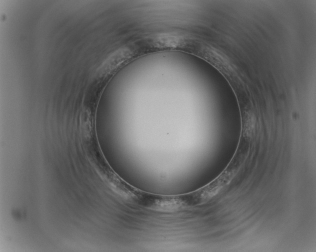 X0000065970414200603061154