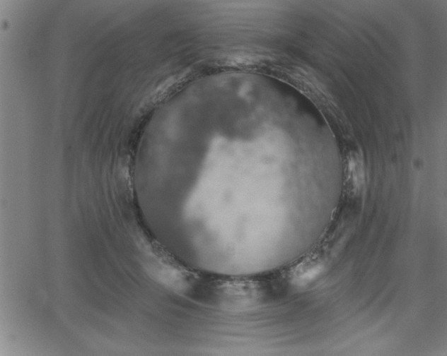 X0000065970415200603061154