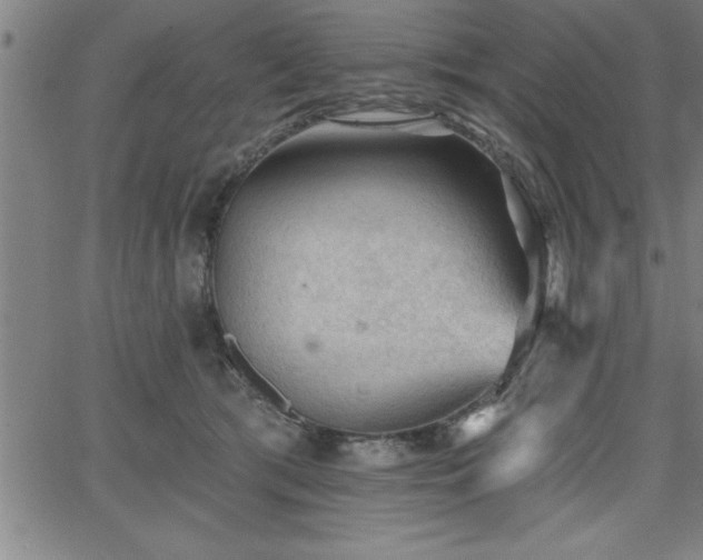 X0000065970417200603061154