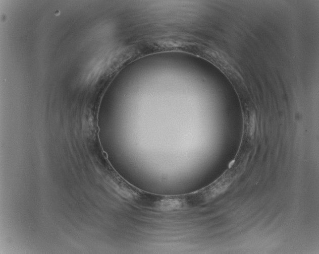 X0000065970418200603061154