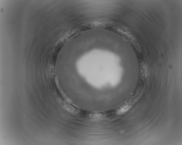 X0000065970419200603061154