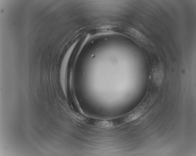 X0000065970421200603061154