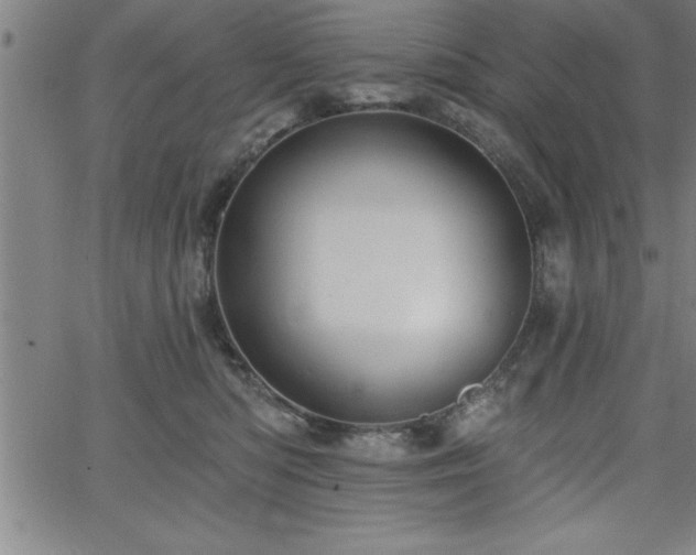 X0000065970422200603061154