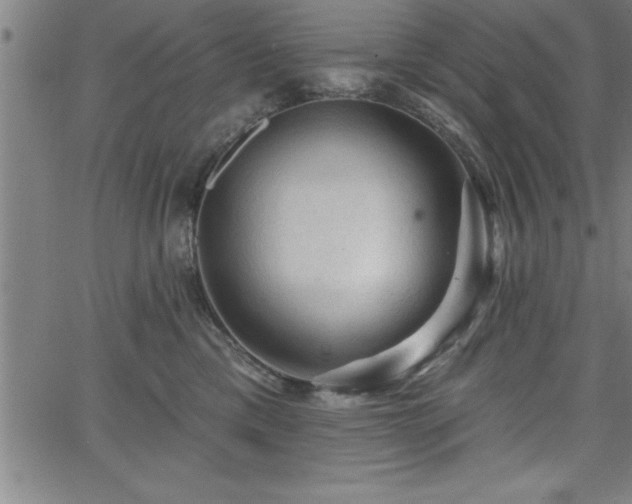 X0000065970425200603061154